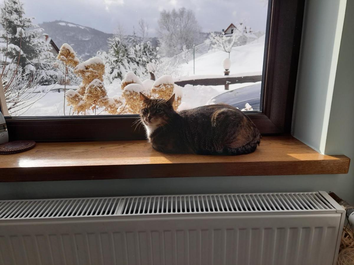 Homestay Bankoszowka Szczawnica